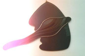Sting Ray - 	A003